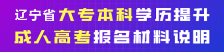 2024辽宁成人高考报名材料